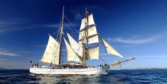 Vivid Light Tall Ship Cruise