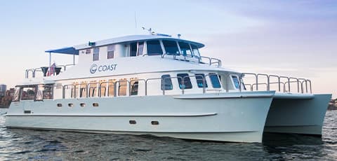 Coast is a modern catamaran with a super stable platform ideal for enjoying the Vivid attractions.