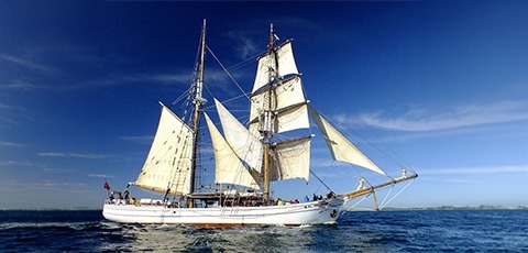 Tallship Vivid Sydney Dinner Cruise